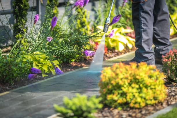 Best Boat and Dock Cleaning  in Juniper Canyon, OR